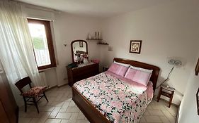Casa Cactus